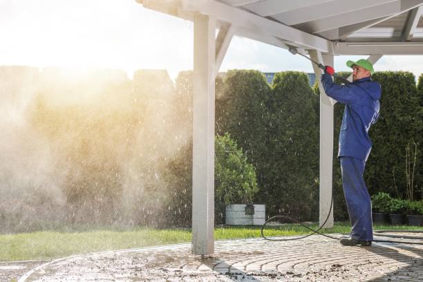 Best Driveway Pressure Washing  in Lumberton, MS